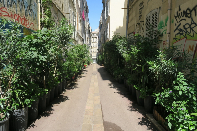 Figure 3. La rue de l’Arc à Marseille. 
