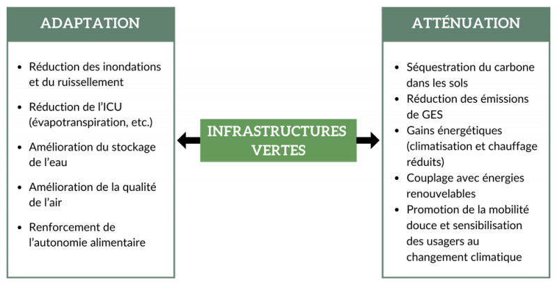 Figure 4. Les infrastructures vertes au cœur des synergies d’adaptation et d’atténuation. 