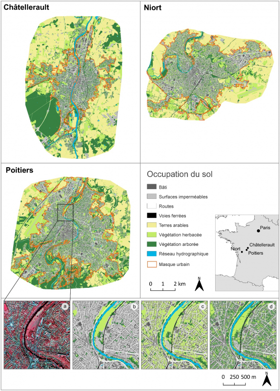 Figure 1. Cartographie des trois villes étudiées : Châtellerault, Niort et Poitiers