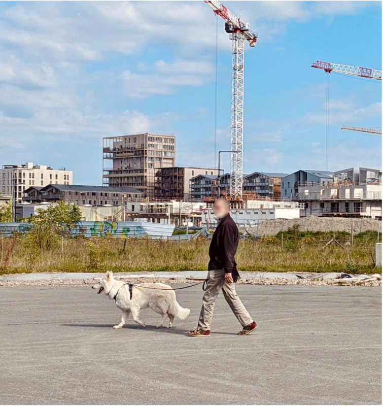Figure 1. Appropriation urbaine du promeneur de chien dans le quartier Brazza en transition (Bordeaux) 