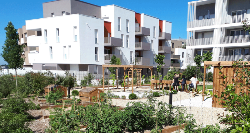 Figure 3. Jardin partagé avec pergolas, bacs à compost, arbres fruitiers, cabanons de jardin. 