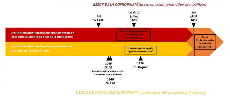 Figure 1. L’institutionnalisation de la profession de « syndic de copropriété »