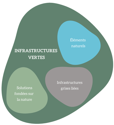 Figure 2. Composantes du concept d’infrastructures vertes. 