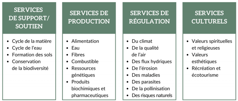 Figure 3. Les différents types de services écosystémiques.  