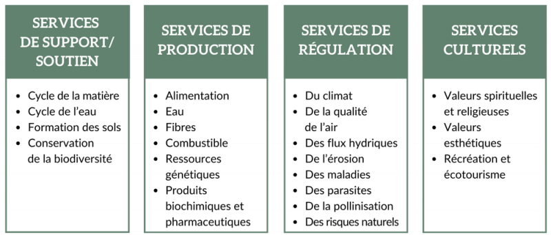 Figure 3. Les différents types de services écosystémiques. 