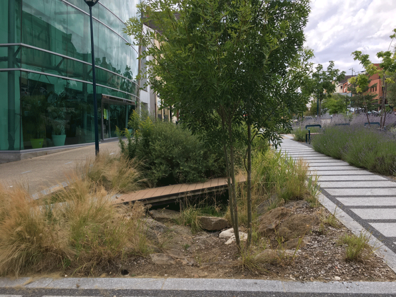 Figure 3. Réhabilitation d’un ancien parking en un cheminement avec gestion intégrée de l’eau, à Vauréal (95). 