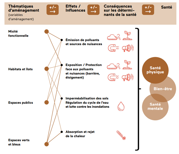 Figure 4. Exemple de représentation graphique des liens entre thématiques d’aménagement et déterminants de santé. Clef opérationnelle : exposition des populations