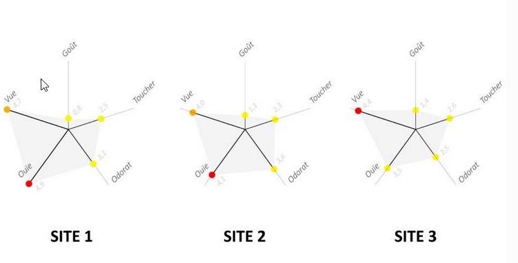 Figure 5. Analyse comparative de la mesure de l’intensité sensorielle perçue par les participants entre les trois sites.  
