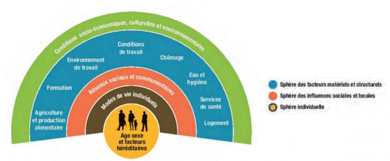 Figure 1. Les déterminants de la santé.