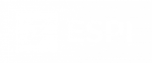 Logo Groupe ESPI